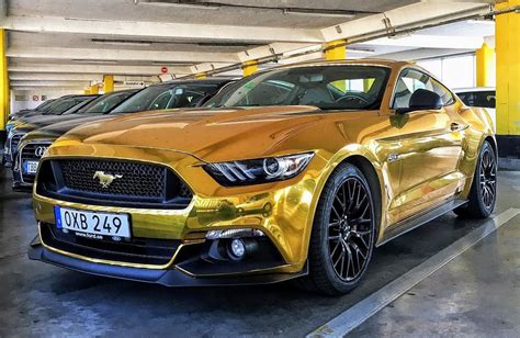 Mustang Gold .